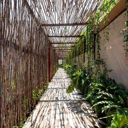 São Miguel dos Milagres Natu Boutique Stays מראה חיצוני תמונה